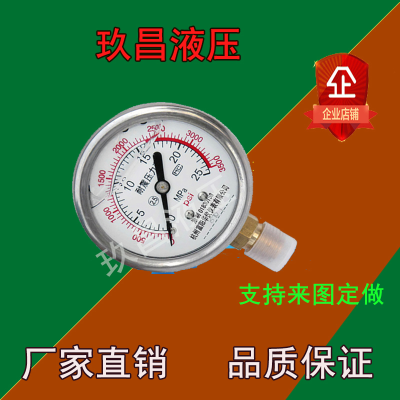 液压压力表